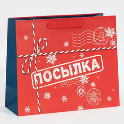Пакет подарочный новогодний ламинированный «Посылка», ML 27 х 23 х 11.5 см