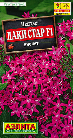 1666A Пентас Лаки стар F1 виолет 3шт