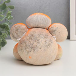 Набор для выращивания «ЭкоЖивчик. Солнышко новинка», фигурка растущая в подарочной упаковке