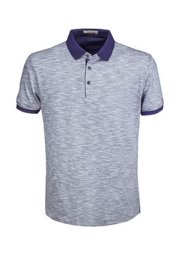 Джемпер мужской с воротником поло короткий рукав GREG G144-TG9836-3 (св.черный)  фото 8