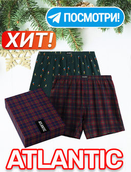 ATLANTIC 2GMB-013 Трусы боксеры Check - набор 2 шт. темно-зеленый + темно-синий