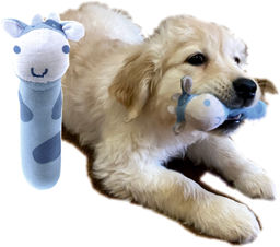 Игрушка со звуком "Коровка" 9046419