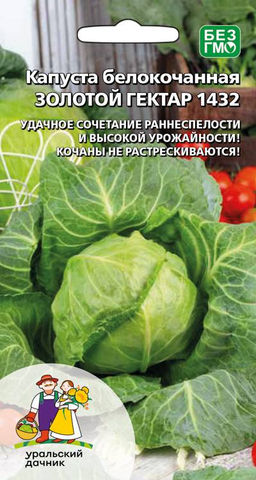 Капуста ЗОЛОТОЙ ГЕКТАР 1432  Удачное сочетание раннеспелости и высокой урожайности! Кочаны не растрескиваются!