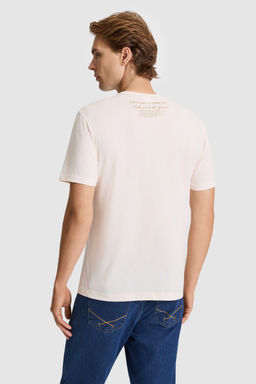 Erkek Krem Regular Fit Bisiklet Yaka Ti__rt - U.s. polo assn фото 5