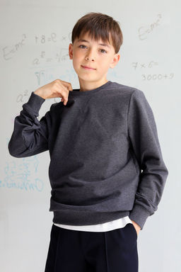 Свитшот Энди MINIDINO