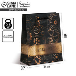 Цена за 2 шт. Пакет подарочный ламинированный, упаковка, «Steel», S 12 х 15 х 5.5 см