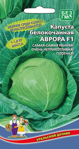 Капуста АВРОРА F1 Одна из самых ранних! Не растрескивается! Очень плотная и неприхотлива!