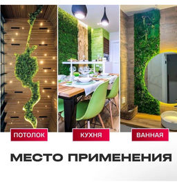 Искусственная трава на стену, модульная трава, декоративный газон 40х60х10см - Buro фото 4