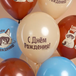 Воздушные шары латексные 12" "С Днем Рождения! (Сердитая кошка)" 2 ст., МИКС, набор 25 шт.