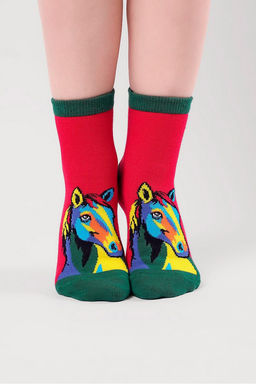 (CLE) C4554 носки дет. НГ (ЧЗ)