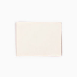 Цена за 2 шт. Пакет ламинированный двухсторонний Пионы, с тишью и открыткой, S, 12?15?5.5