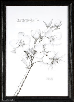 Фоторамка 15х21 / KSF1811-1 /уп10 - ГалеонТрейд фото 2