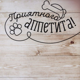 Цена за 2 шт. Коврик под миску нескользящий «Приятного аппетита», 43×28 см