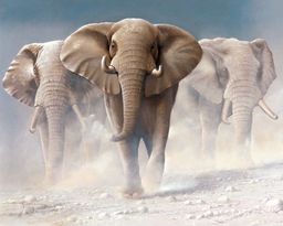 Картина по номерам 40х50 - Три слона (худ. Венинг Я.)