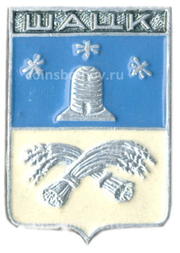 Значок Шацк