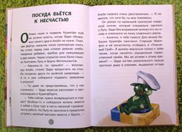 Эдди спасает Крумпфбург. Самый смелый тролль (ил. Б. Кортуэс) (#5)