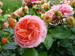 a1a28b204b97eef31105692e9a8c82af894u8zahlpv1mya2