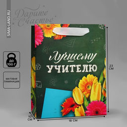 Цена за 2 шт. Пакет подарочный ламинированный, упаковка, «Лучшему Учителю», MS 18 х 23 х 10 см