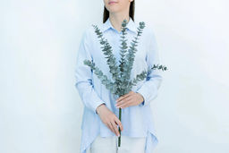 Эвкалипт BABY BLUE куст - Пыльно-зеленый