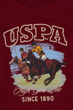 Erkek _ocuk Bordo Bisiklet Yaka _nce Bisiklet Yaka Sweatshirt - U.s. polo assn фото 3