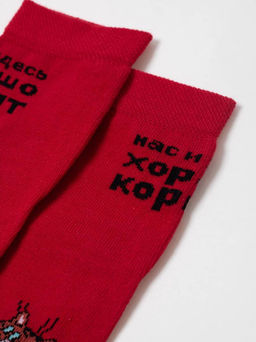 Цена за 2 пары БРЕСТСКИЕ НОСКИ ДЕТСКИЕ 3053 СМФ "Попугай Кеша" (средней длины) ВИШНЕВЫЙ