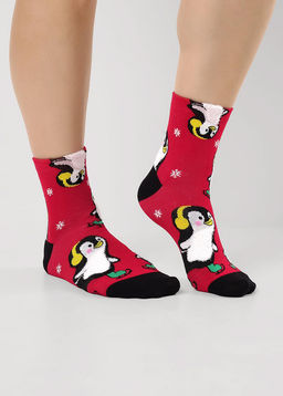 (CLE) Д2555 носки жен. НГ (ЧЗ)