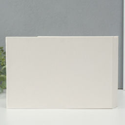 Фотоальбом на 100 фото кожзам 10×15 см «Ромашковый чай», в коробке, 4×26×18 см