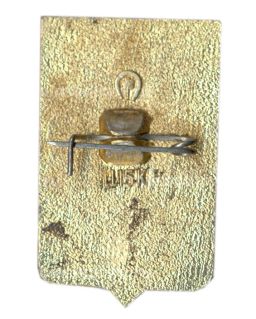 Значок Ростов на Дону