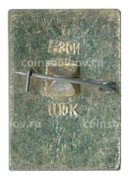 Значок Кострома