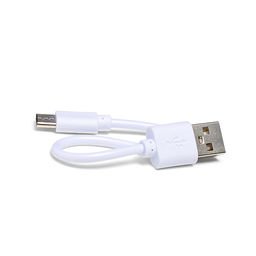 Ящерица "Игуана" антигравитационная, р/у, 27 MHz, USB, в коробке