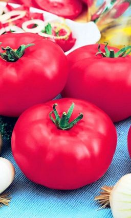 Томат БАКИНСКИЕ 622  Сладкий, бархатистый вкус! Крайне неприхотлив! Мясистые плоды до 300 г!