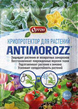 ОРТОН ANTIMOROZZ