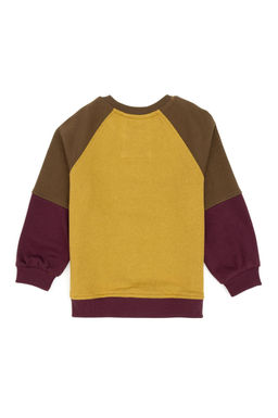 Erkek _ocuk Hardal Bisiklet Yaka Sweatshirt - U.s. polo assn фото 2