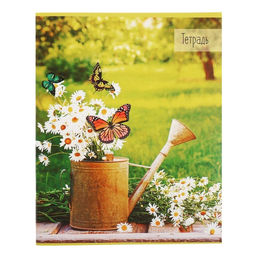 Набор тетрадей 36 листов в клетку, Calligrata «Бабочки», серые листы, 5 штук