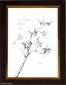 Фоторамка 15x21 / 2001В-002A1 /уп10