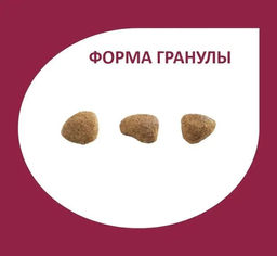 Скидка 50%!!! Гранплюс сухой корм для стерилизованных кошек лосось и цыпленок 10,1кг - Granplus фото 2