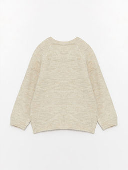 Bisiklet Yaka Uzun Kollu Erkek Bebek Triko Kazak - Waikiki фото 2