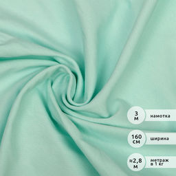 Футер 2х нитка петля Поликоттон стрейч 220г/м? Twill French Terry цв.S822 мятный в нарезке 3м