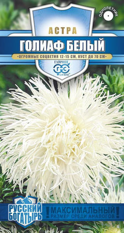 Голиаф Белый астра игольчатая 0,3гр (г)