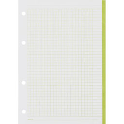 Сменный блок для тетрадей на кольцах, BeSmart А5 120л клетка Цветной N001d