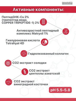 PEPTIDE TREATMENT, тоник - Mesomatrix фото 6