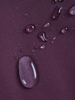 Ветровка женская софтшелл виндстоппер с капюшоном спортивная темно-фиолетового цвета 9616_1TF