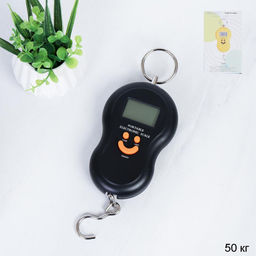 Весы безмен электронные 50 кг / QR603 /уп100/ без батареек