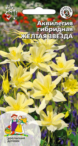Аквилегия ЖЁЛТАЯ ЗВЕЗДА