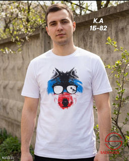 Мужская футболка с рисунком