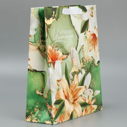 Цена за 2 шт. Пакет подарочный ламинированный, упаковка, «Лучшему учителю», M 30×26×9 см