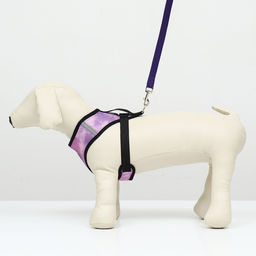 Комплект для собак 3-5 кг, размер S, поводок 120 х 1,5 см, ОШ 24 см, ОГ 34 см - Пижон фото 2