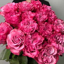 Роза Кантри Блюз (Чайно-гибридная) 1шт