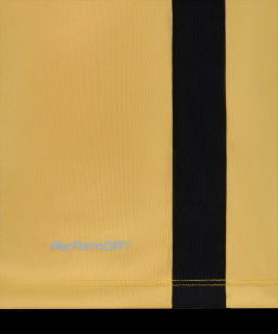 Футболка игровая JOGEL DIVISION PerFormDRY Element Jersey Y2, золотой  фото 4