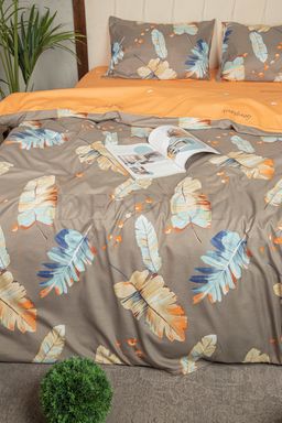 КПБ Denvol Classic DENCL024 2 спальный - Mency фото 6